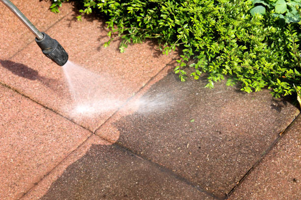 Best Affordable Pressure Washing  in Holtville, CA