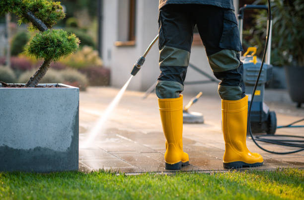 Best Best Pressure Washing Companies  in Holtville, CA